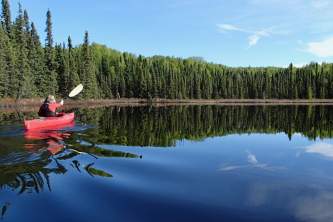 Road accessible alaska public use cabins Rhein Lake scene Shawn Lyons rhein lake public use cabin