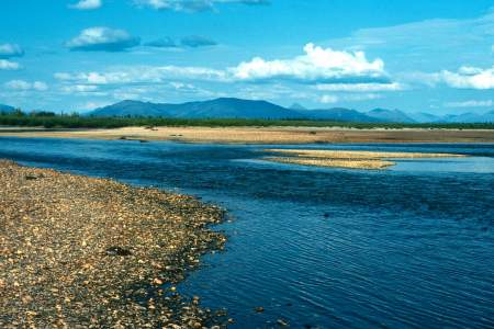 Salmon River Float Trip Guide