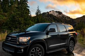 Sequioa Cropped alaska tongass teague llc alaska org