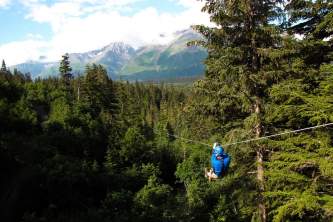 Seward zipline tours stoney creek