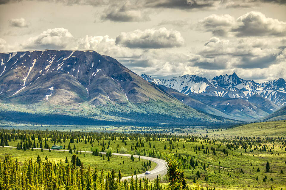 View of Denali Park Road in Denali National Park