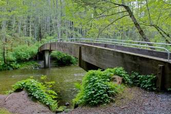 Sitka parks and trails Indian River Trail