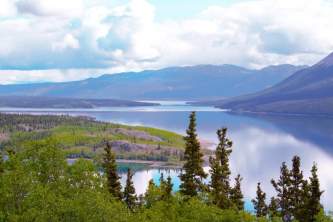 skagway city sightseeing tours Bove island ray