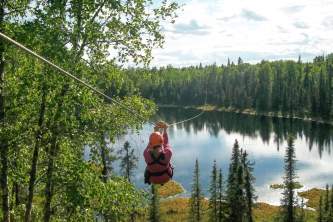 Talkeetna zipline tours
