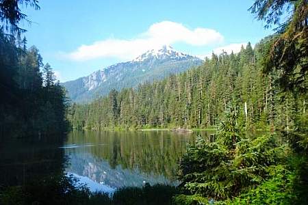 Wilson Narrows Cabin