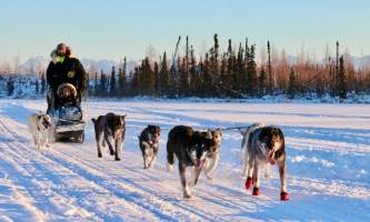 Trip ideas alaska palmer wasilla alaskamushingschool1 alaska mushing school