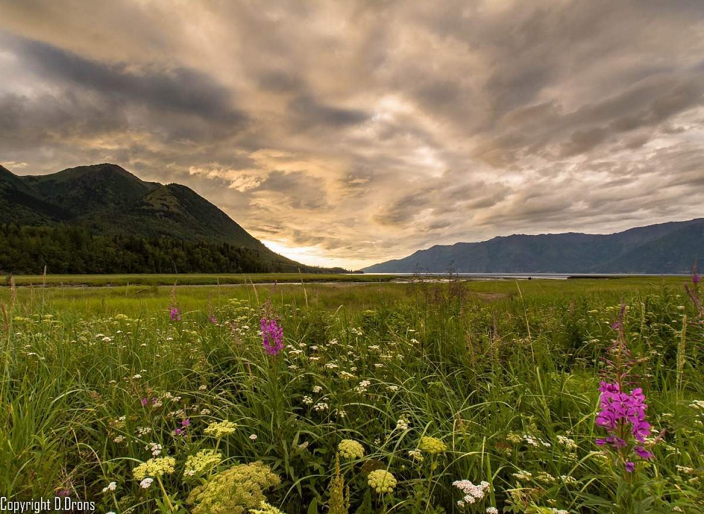 Turnagain Arm View Hope