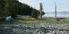 Unakwik Inlet Campsite #3 (Brilliant Beach)