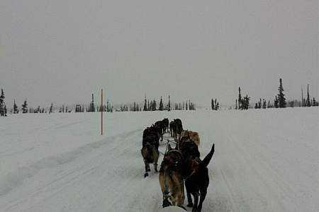 Trapper Creek-Petersville Trail System