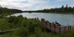 Soldotna River Walk