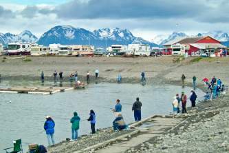 Where To Get Your Alaska Fishing License Homer June 04 023 o1643q