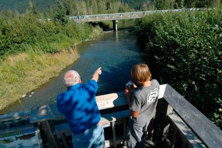 Williwaw Creek Fish Viewing Platform